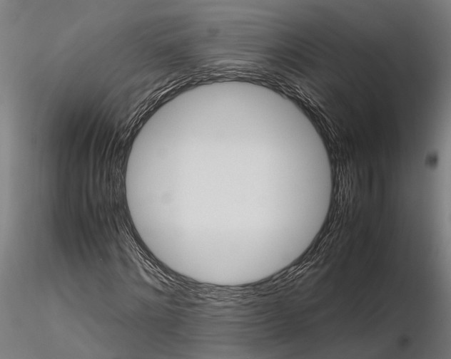 X0000116120868200912141043