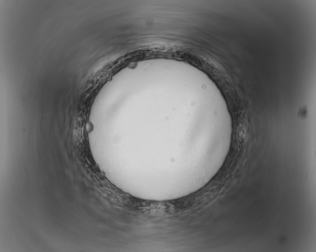 X0000116120869200912141043