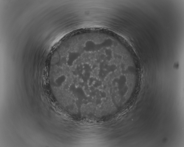 X0000116120871200912141043