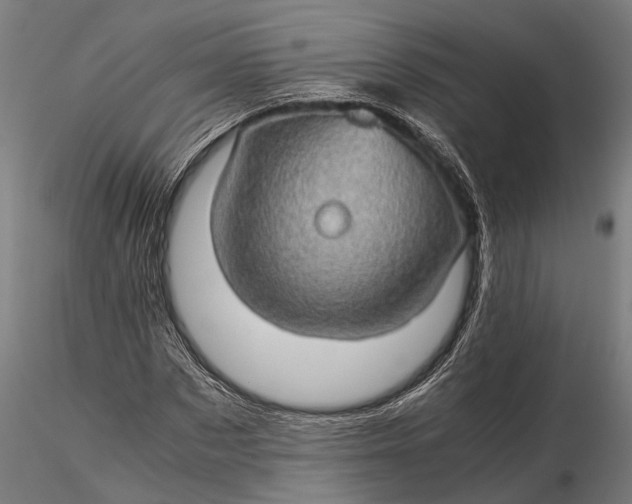 X0000116120873200912141043