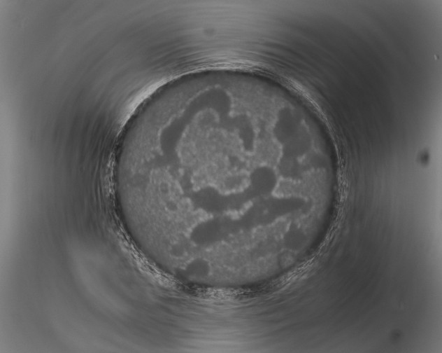 X0000116120875200912141043