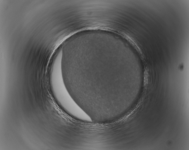 X0000116120876200912141043