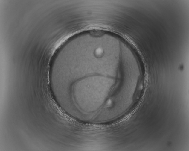 X0000116120877200912141043