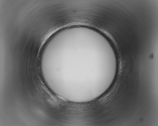 X0000116120878200912141043