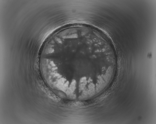 X0000116120879200912141043