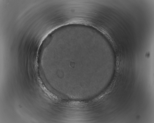 X0000116120880200912141043