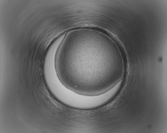 X0000116120881200912141043