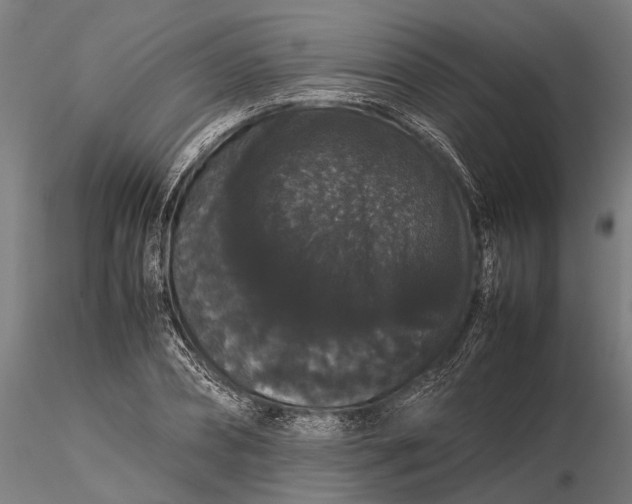 X0000116120882200912141043