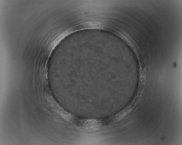 X0000116120883200912141043