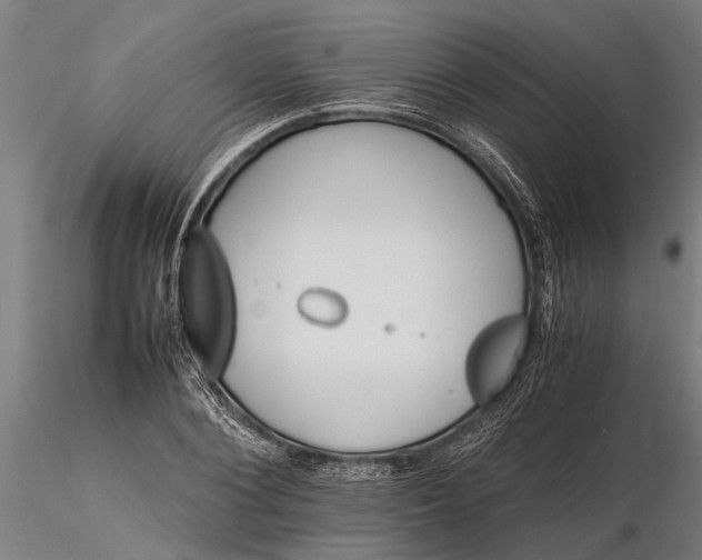 X0000116120884200912141043