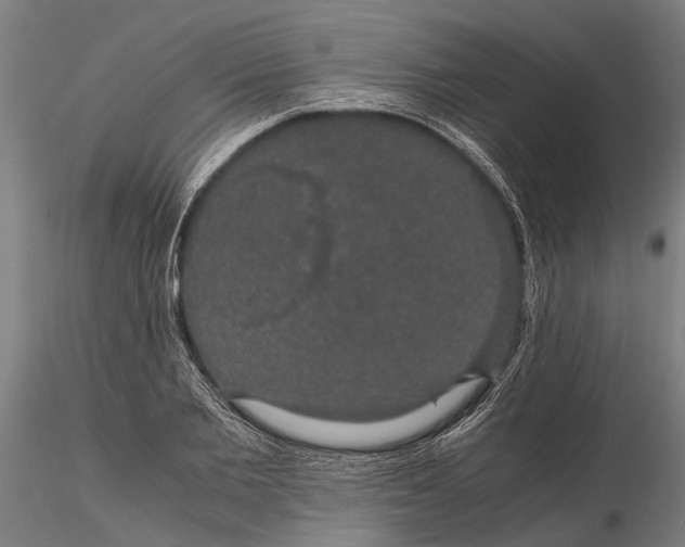 X0000116120885200912141043