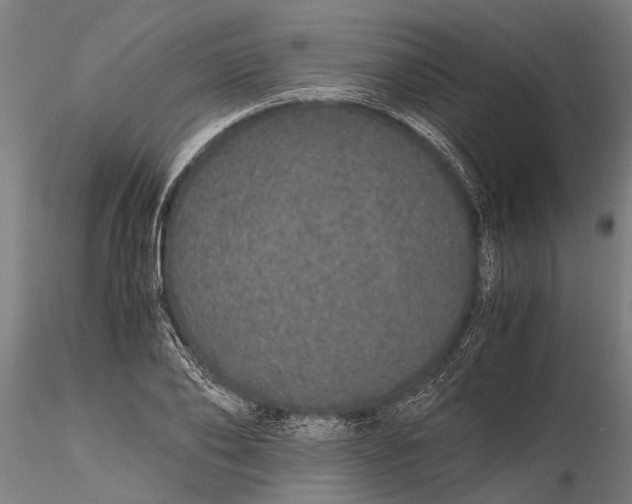 X0000116120886200912141043