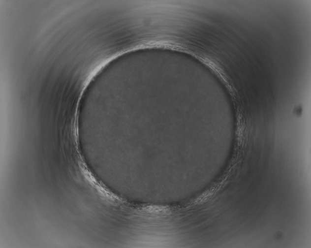 X0000116120888200912141042