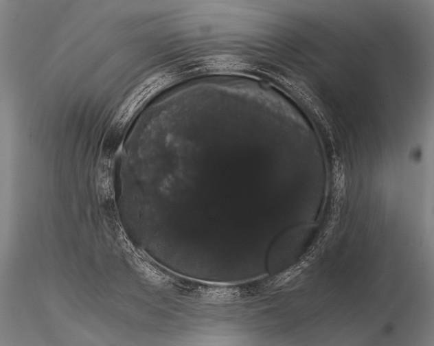 X0000116120889200912141042