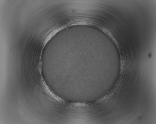 X0000116120890200912141042