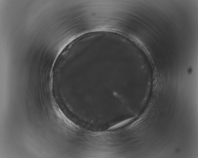 X0000116120892200912141042