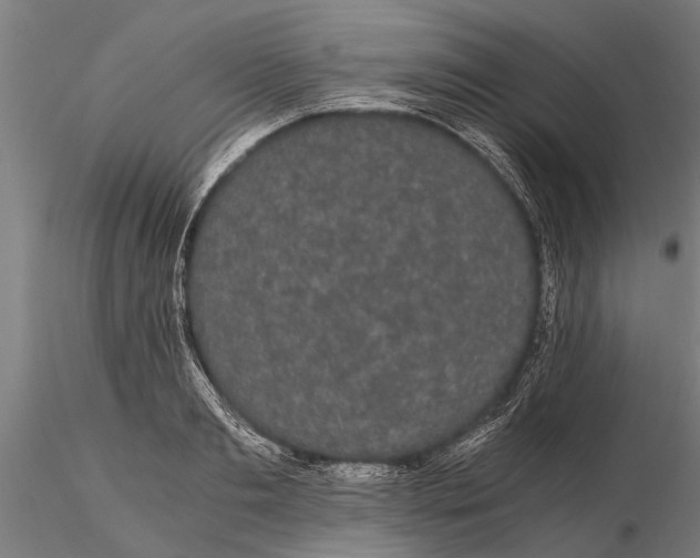 X0000116120893200912141042