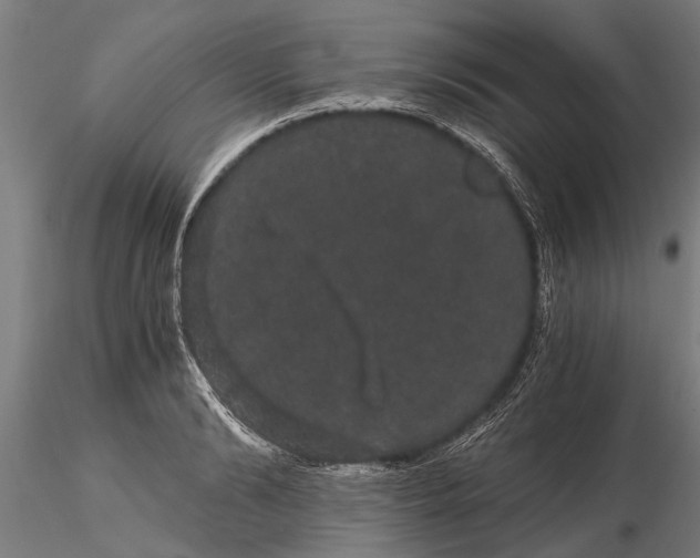 X0000116120894200912141042