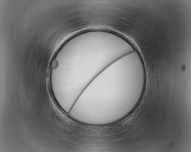 X0000116120895200912141042