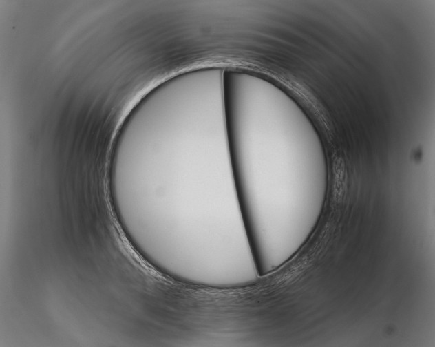 X0000116120896200912141042