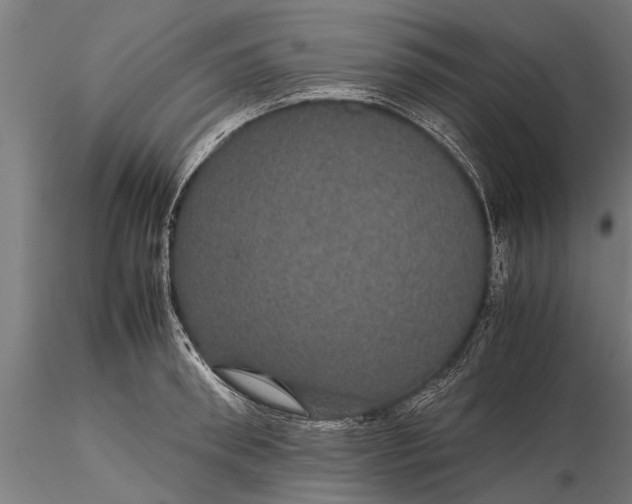 X0000116120898200912141042