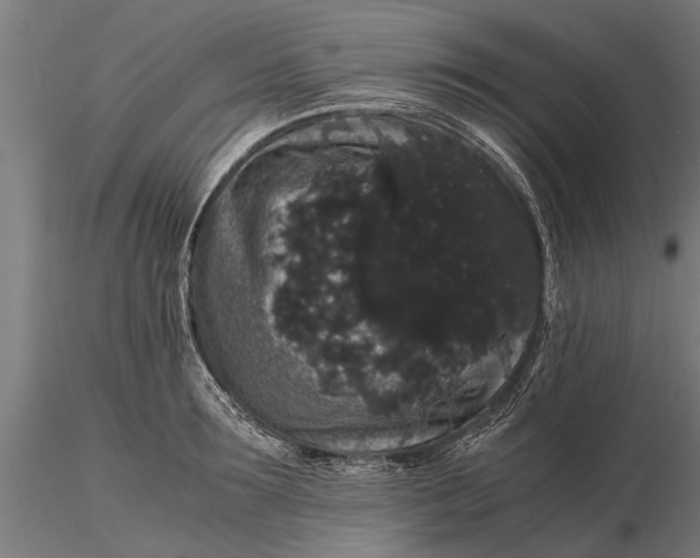 X0000116120899200912141042