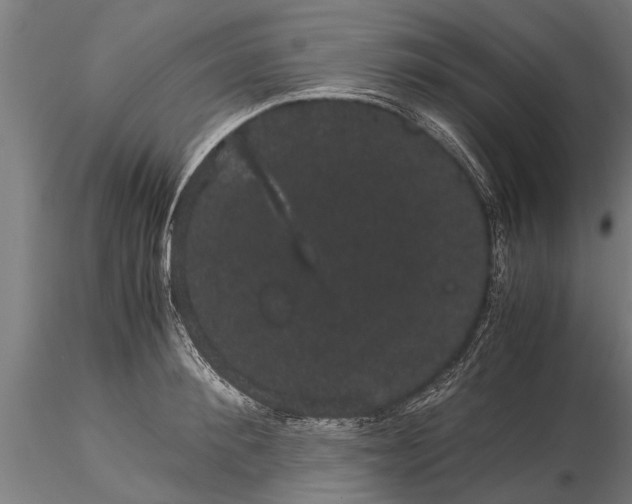 X0000116120900200912141042