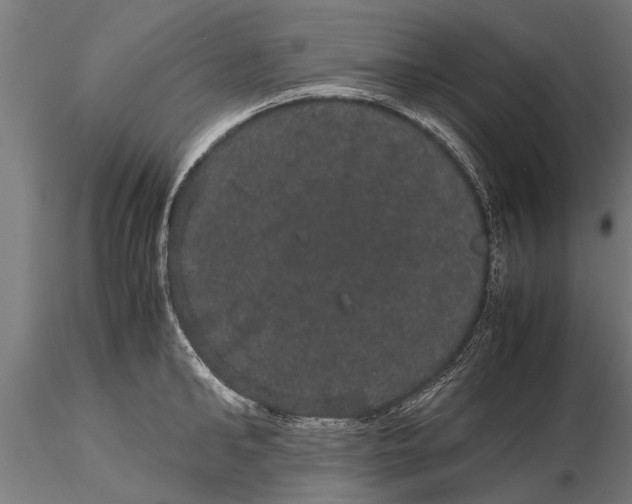 X0000116120902200912141042