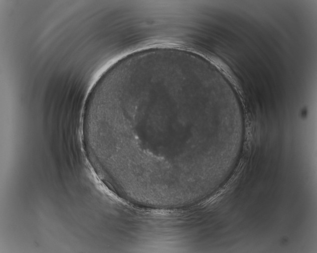 X0000116120904200912141042