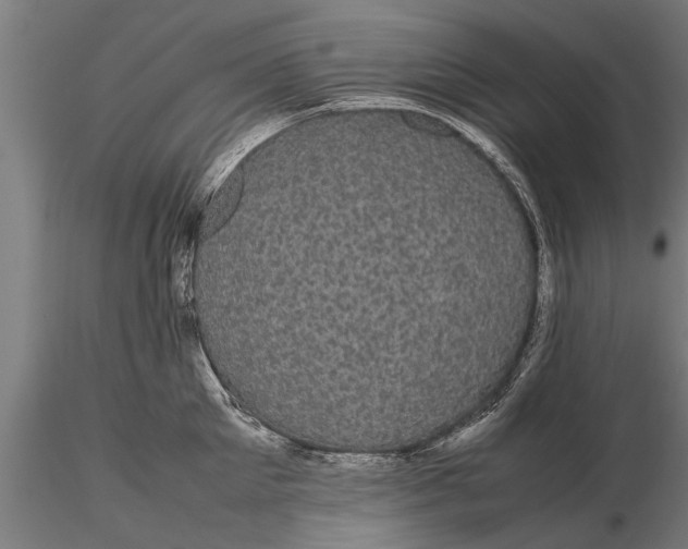 X0000116120905200912141042