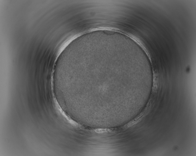 X0000116120906200912141042