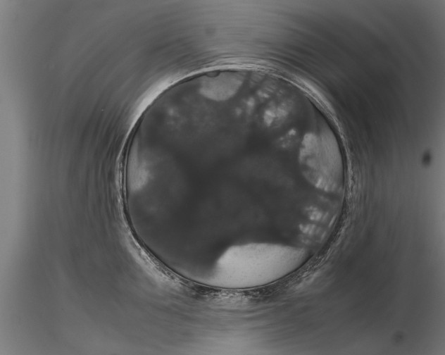 X0000116120907200912141042