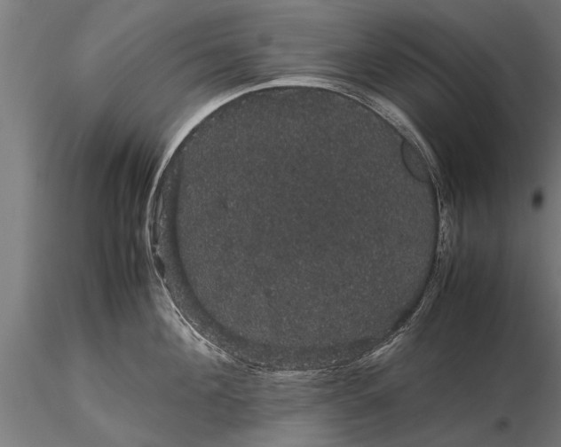 X0000116120908200912141042