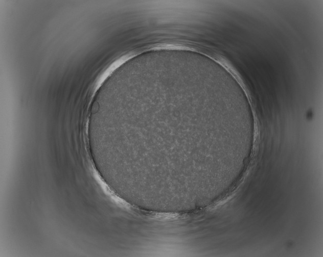 X0000116120909200912141042