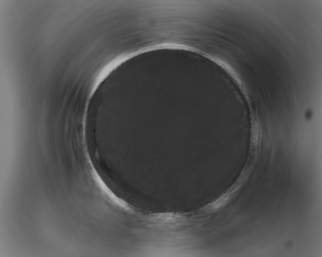 X0000116120910200912141042