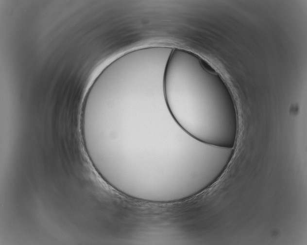 X0000116120912200912141042