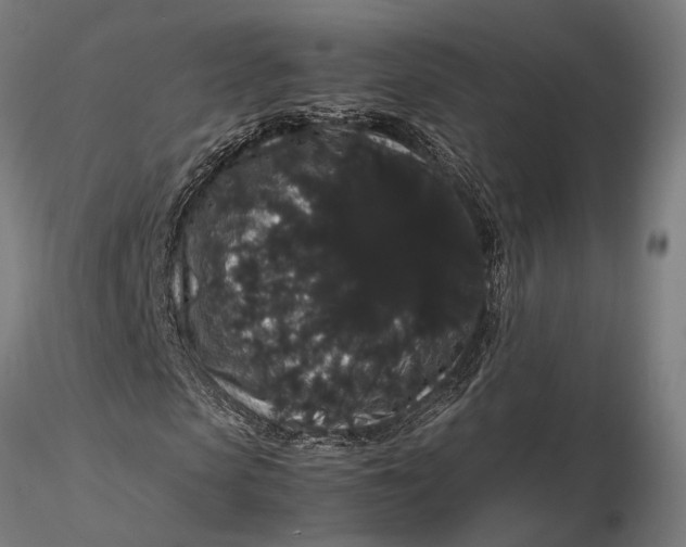 X0000116120913200912141041