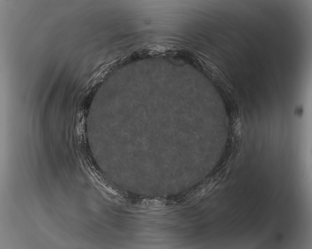 X0000116120914200912141042