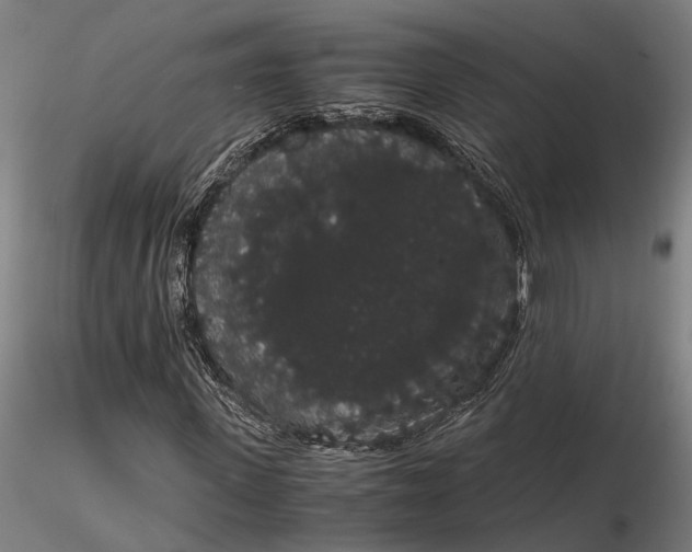 X0000116120915200912141042