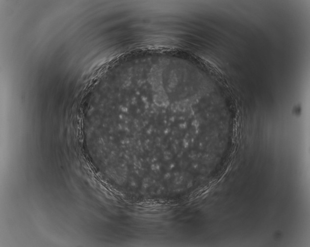 X0000116120917200912141042