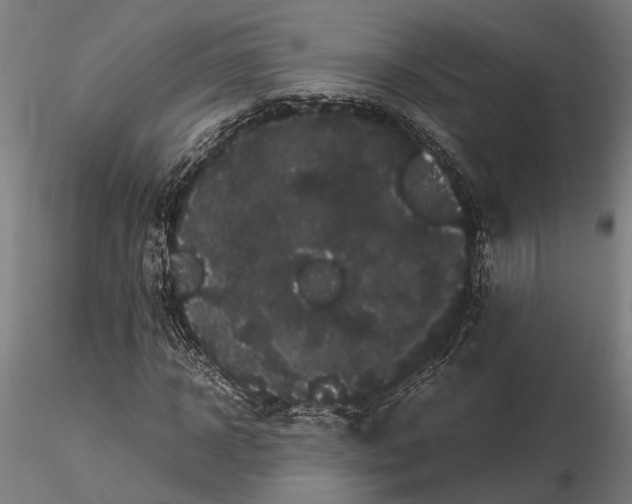 X0000116120918200912141042