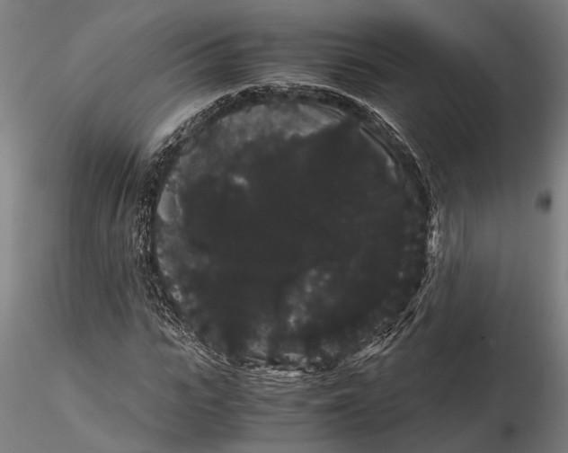 X0000116120919200912141042