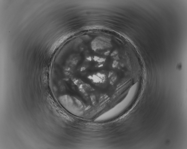 X0000116120921200912141042