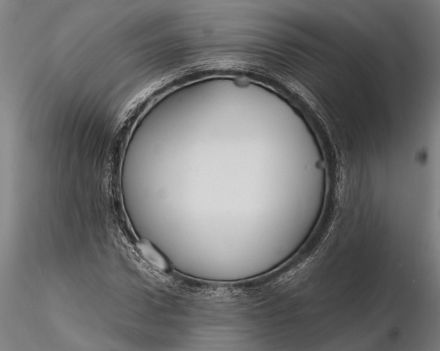 X0000116120922200912141042