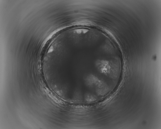 X0000116120923200912141042