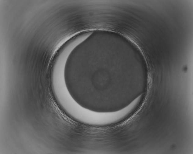 X0000116120925200912141042