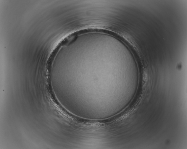 X0000116120926200912141042