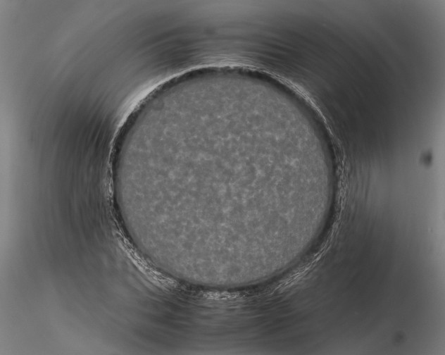 X0000116120927200912141042