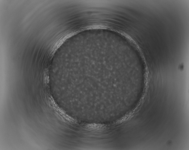 X0000116120929200912141042