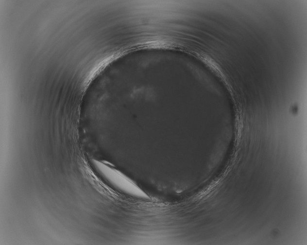 X0000116120930200912141042